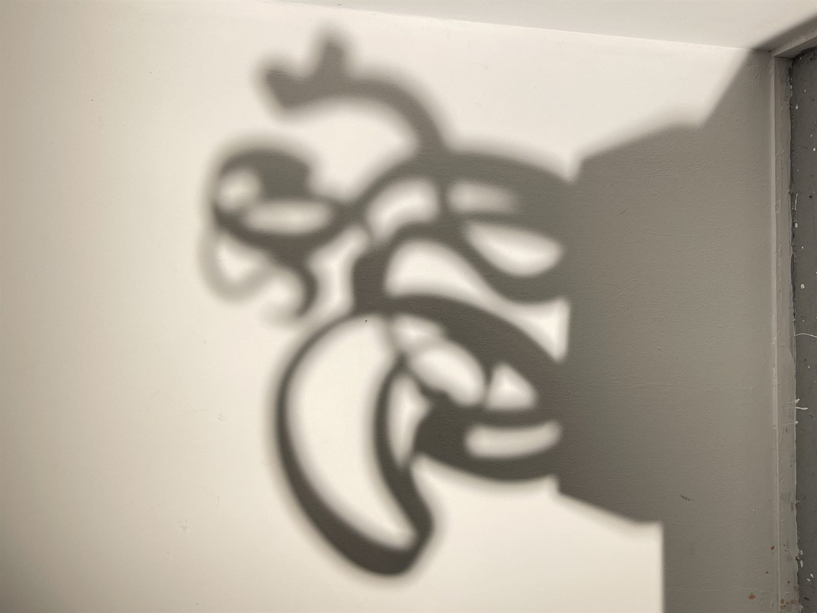 LOVE / Shadow — the projected shadow on the wall