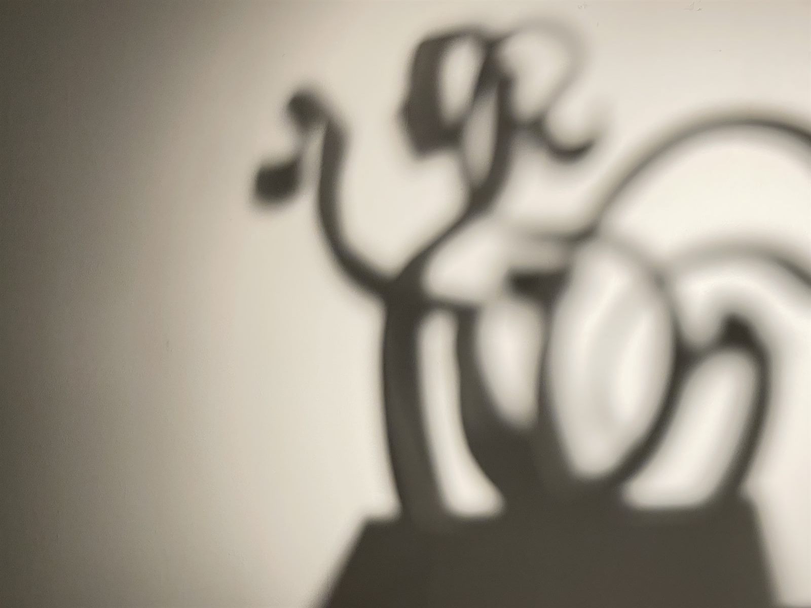 LOVE / Shadow — a soft, shifting shadow study